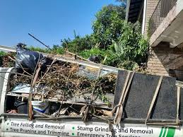 Professional Junk Removal Services in Salisbury, MO